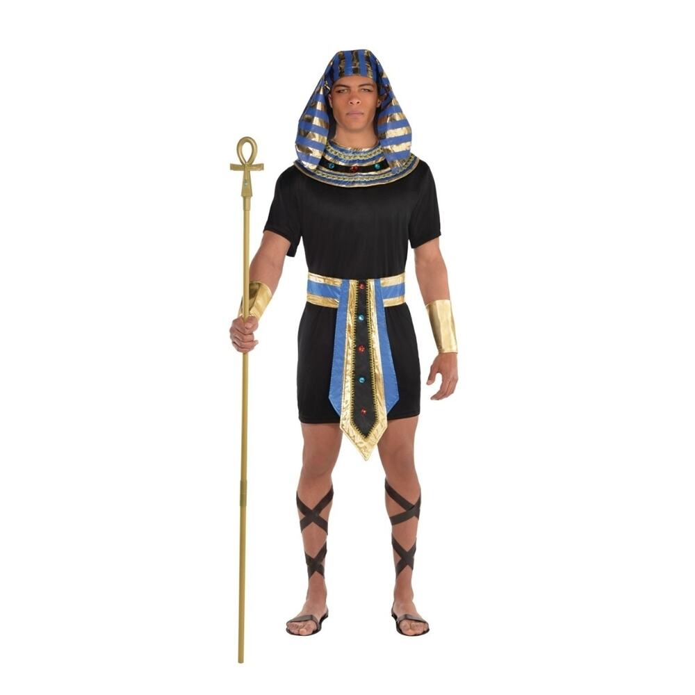 Amscan Egyptian Pharaoh Halloween Costume, Adult Standard Size Fits Most